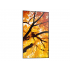 Sharp PN-M552 Pantalla Comercial LED 55", 4K Ultra HD, Negro - Imagen adicional 5