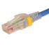 Siemon Cable Patch Cat6 UTP RJ-45 Macho - RJ-45 Macho, 1 Metro, Violeta  1