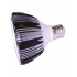 SL Prolight Foco tipo Spot PAR38, Luz Cálida, Base E27, 12W, 255 Lúmenes, Plata - Imagen adicional 1