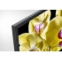 Sony Smart TV LED X80G 55", 4K Ultra HD, Negro  11