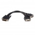 StarTech.com Cable DMS 59 LFH Macho - 2x VGA Hembra, 20cm  1