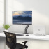 StarTech.com Soporte de Escritorio para 1 Monitor 17" - 32", hasta 10kg  10