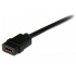 StarTech.com Cable HDMI Macho - HDMI Hembra, 4K, 30Hz, 2 Metros, Negro  2