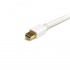 StarTech.com Cable de Extensión MDPMM1MW Mini DisplayPort Macho - Mini DisplayPort Macho, 1 Metro, Negro - Imagen adicional 1