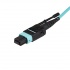 StarTech.com Cable Fibra Óptica Multimodo OM3 MPO/MTP Macho - MPO/MTP Macho, 10 Metros, Aqua  2