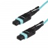 StarTech.com Cable Fibra Óptica Multimodo MPO/MTP Macho - MPO/MTP Macho, 3 Metros, Aqua  1