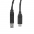 StarTech.com Cable USB-C Macho - USB-B Macho, 50cm   2