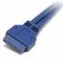StarTech.com Adaptador USB 3.0 Hembra - IDC Hembra, Azul  3
