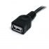 StarTech.com Cable de Extensión USB 2.0 A Macho - USB A Hembra, 3 Metros, Negro  3