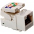 Steren Jack de Red Cat5e, RJ-45, Marfil  1