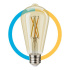 Steren Foco Vintage LED Inteligente SHOME-124, WiFi, Luz Cálida/Fría, Base E27, 4.5W, 450 Lúmenes, Ámbar,  Ahorro de 87% vs Foco Tradicional 40W  2