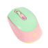 Mouse STF Óptico VIVA!, Inalámbrico, USB, Rosa/Verde  2