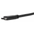 Targus Cable USB C Macho - USB A Hembra, 15cm, Negro - Imagen adicional 2