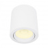 Tecnolite Lámpara LED para Techo Ashlesha, Interiores, Luz Cálida, 10W, 1020 Lúmenes, Blanco, para Casa  2