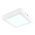 Tecnolite Lámpara LED Plafon para Techo Algedi II, Interiores, Luz de Día, 12W, 720 Lúmenes, Blanco, para Casa  2