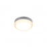 Tecnolite Lámpara LED Plafón para Sobreponer, Interiores/Exteriores, Luz Cálida Brillante, 15W, 850 Lúmenes, Gris  2