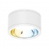 ﻿Tecnolite Lámpara LED Plafón para Sobreponer, Interiores/Exteriores, Luz Blanca, 35W, 3100 Lúmenes, Blanco  1