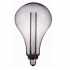Tecnolite Foco Vintage Regulable LED Acrab, Luz Suave Cálida, Base E27, 3.5W, 70 Lúmenes, Humo  1