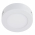 Tecnolite Lámpara LED Plafon para Techo Ankaa I, Interiores, Luz Suave Cálida, 6W, 320 Lúmenes, Blanco, para Casa  2