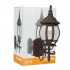 Tecnolite Lámpara Farol para Pared Siena, Exteriores, Base E27, máx. 26W, Café, para Casa - No Incluye Foco  2