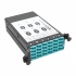 Tripp Lite Módulo de 12 Adaptadores de Fibra Óptica MTP/LC Dúplex/Simplex, Azul/Gris  1