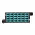 Tripp Lite Módulo de 12 Adaptadores de Fibra Óptica MTP/LC Dúplex/Simplex, Azul/Gris  3