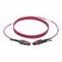 Tripp Lite Cable Fibra Óptica MPO/MTP Hembra - MPO/MTP Hembra, 2 Metros, Magenta  4