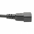 Tripp Lite Cable de Poder C14 Macho - C5 Hembra, 1.83 Metros  4