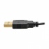Tripp Lite Adaptador HDMI Macho - DisplayPort/USB A Hembra, 15cm, Negro  10