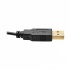 Tripp Lite Adaptador HDMI Macho - DisplayPort/USB A Hembra, 15cm, Negro  9