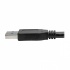 Tripp Lite Cable de Extensión Repetidor Activo USB Macho - USB Hembra, 4.8 Metros, Negro  5