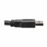 Tripp Lite Cable USB A Macho - USB A Hembra, 20m, Negro  2