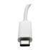 Tripp Lite Adaptador USB C Macho - DVI-I Hembra, con Hub USB, 1x RJ-45  4
