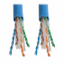 Tripp Lite by Eaton Bobina de Cable Ethernet Cat6, UTP, 304 Metros  5