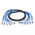 Tripp Lite by Eaton Cable Patch Cat6 UTP 6x RJ-45 Macho - 6x RJ-45 Macho, 1.8 Metros, Azul