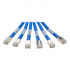 Tripp Lite by Eaton Cable Patch Cat6 UTP 6x RJ-45 Macho - 6x RJ-45 Macho, 1.8 Metros, Azul - Imagen adicional 2