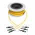 Tripp Lite by Eaton Cable Fibra Óptica Monomodo OFNP MTP Hembra - MTP Hembra, 8.3µm, 15 Metros, Amarillo  3