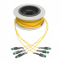 Tripp Lite by Eaton Cable Fibra Óptica Monomodo OS1/OS2 MTP Hembra - MTP Hembra, Núcleo 8.3µm, Cubierta 125µm, 15 Metros, Amarillo   1
