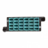 Tripp Lite by Eaton Módulo de 12 Adaptadores de Fibra Óptica MTP/LC Dúplex/Simplex, Azul/Gris  3