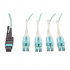 Tripp Lite by Eaton Cable Fibra Óptica OM3 MPO/MTP Macho - 8x LC Macho, 2 Metros, Aqua