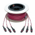 Tripp Lite by Eaton Cable Fibre Óptica Multimodo OM4 MTP Hembra - MTP Hembra, Núcleo 50µm, Cubierta 125µm, 15 Metros, Black,Magenta  4