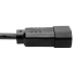 Tripp Lite by Eaton Cable de Poder 18AWG, C13 coupler Macho - C14 coupler Hembra, 3 Metros  3