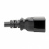 Tripp Lite by Eaton Cable de Poder C20 Macho - C19 Hembra, 1.8 Metros, Negro - Imagen adicional 4