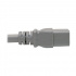 Tripp Lite by Eaton Cable de Poder NEMA 5-20P Macho - IEC C19 Hembra, 1.8 Metros, Gris - Imagen adicional 4