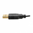 Tripp Lite by Eaton Adaptador HDMI Macho - DisplayPort/USB A Hembra, 15cm, Negro  10
