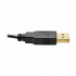 Tripp Lite by Eaton Adaptador HDMI Macho - DisplayPort/USB A Hembra, 15cm, Negro  9
