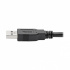 Tripp Lite by Eaton Cable USB Macho - USB Macho, 1.8 Metros, Negro  5