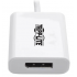 Tripp Lite by Eaton Adaptador USB C Macho - DisplayPort 4K Hembra, Compatible con Thunderbolt 3  3