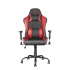 Trust Silla Gamer GXT 707R Resto, hasta 150Kg, Negro/Rojo  2