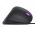 Mouse Gamer Ergonómico Trust GXT144 Rexx, Alámbrico, Óptico, 10.000DPI, USB-A, Negro  5